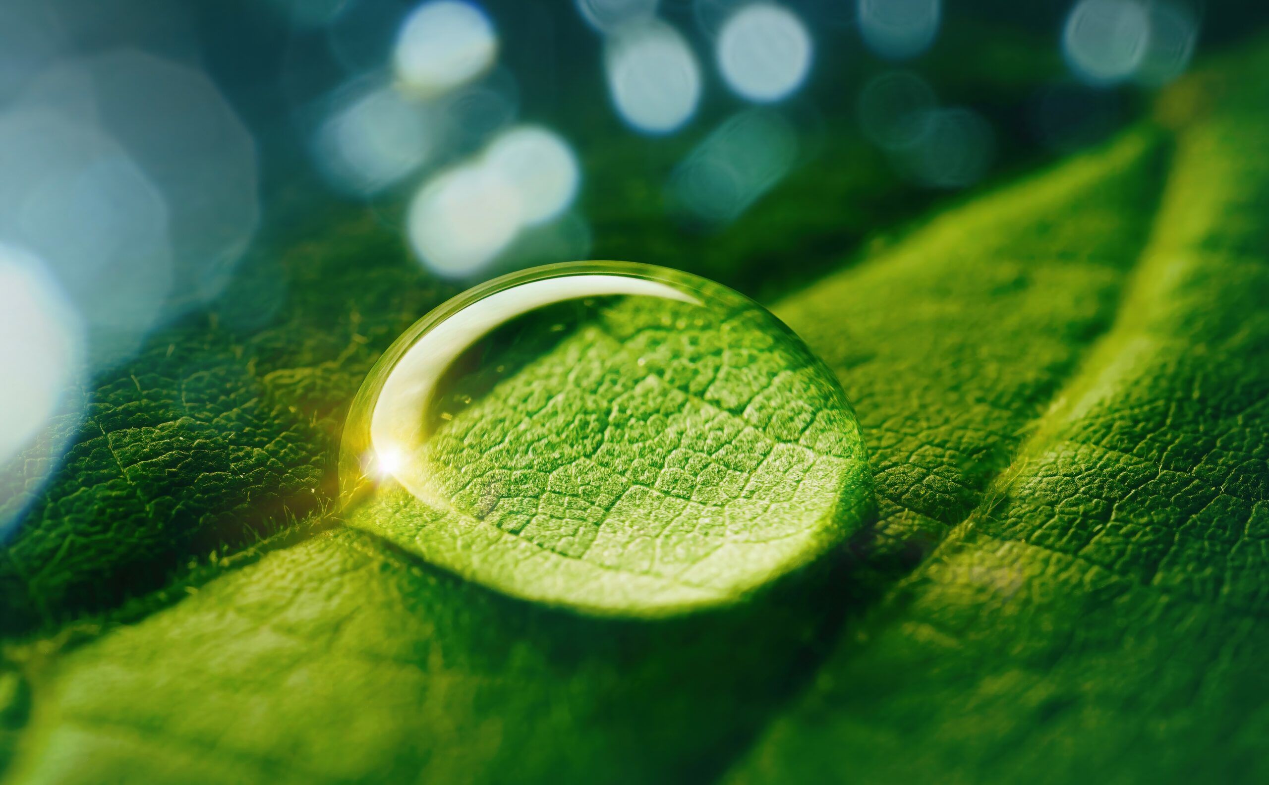 breadcrumb-sustainability.jpg