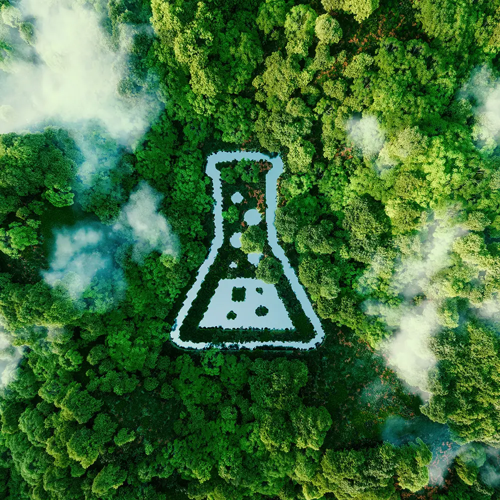 Phthalate-Free
